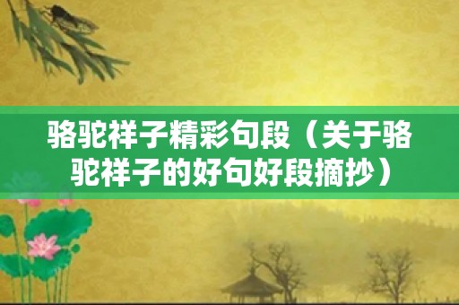 骆驼祥子精彩句段（关于骆驼祥子的好句好段摘抄）