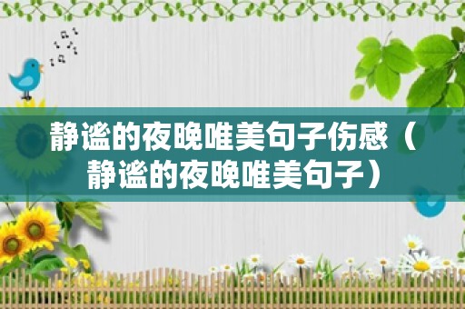 静谧的夜晚唯美句子伤感（静谧的夜晚唯美句子）