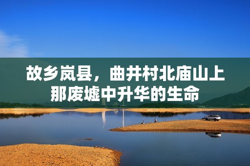 故乡岚县，曲井村北庙山上那废墟中升华的生命