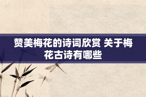 赞美梅花的诗词欣赏 关于梅花古诗有哪些