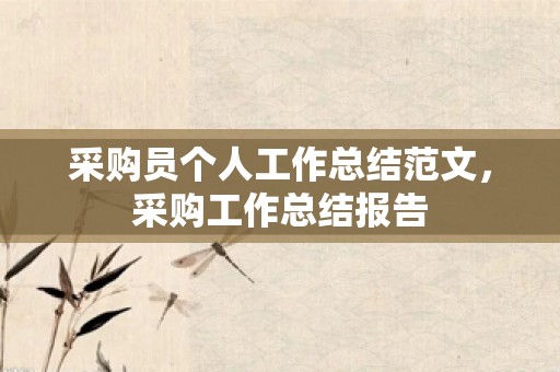 采购员个人工作总结范文，采购工作总结报告