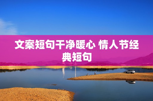 文案短句干净暖心 情人节经典短句