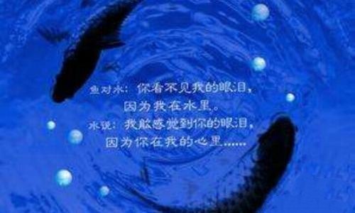 鱼的眼泪只有水知道作文含义（鱼的眼泪只有水知道阅读理解）