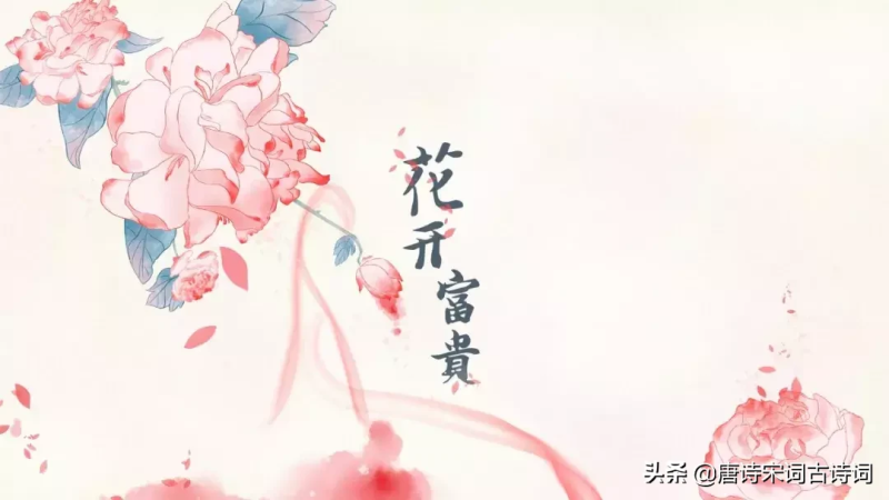 赞美牡丹的经典诗句（描写牡丹的千古名句）