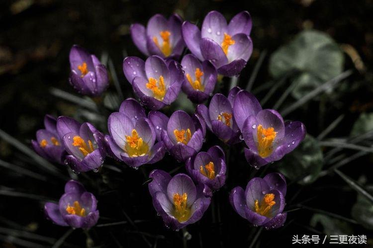 不纠结过去的好句子大全（放下过去重新开始的短句）