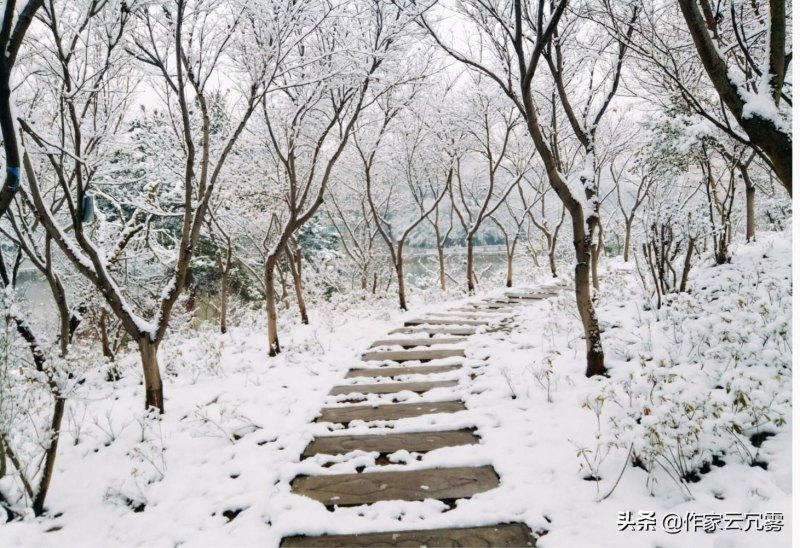 雪诗句大全唯美伤感（雪中离别的诗句伤感）