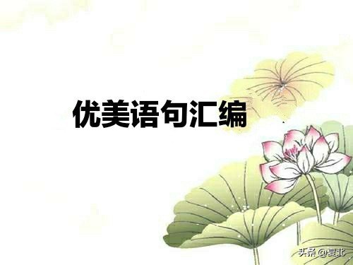 超短比喻句优美句子（20个优美比喻句）