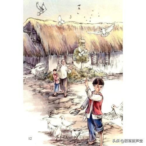 草房子好词好句摘抄及感受（最新读书笔记摘抄）