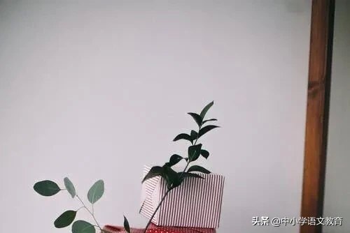 陈太丘与友期行文言文翻译（陈太丘与友期行赏析）