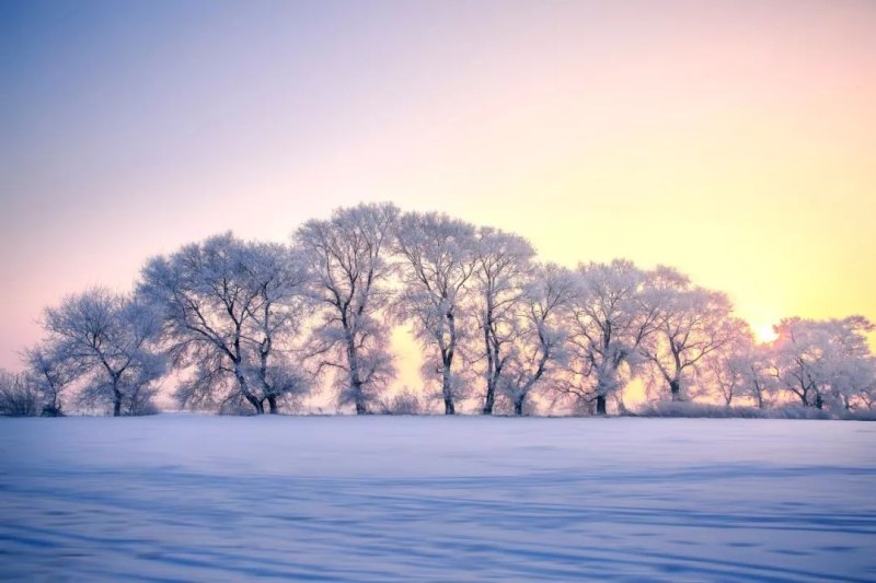 赞美雪的诗句古诗大全（赞美雪的诗句古诗）-美文社