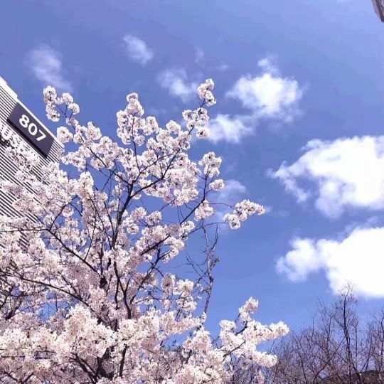 描写眼神的句子（表达眼神的唯美句子）