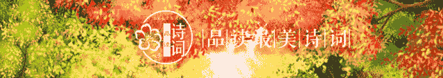 赞美野花的优美句子（描写路边的野花的句子分享）