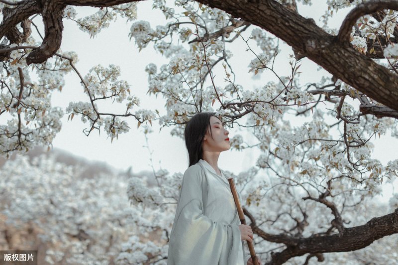 关于梨花的诗句古诗大全（7首绝美古诗词）