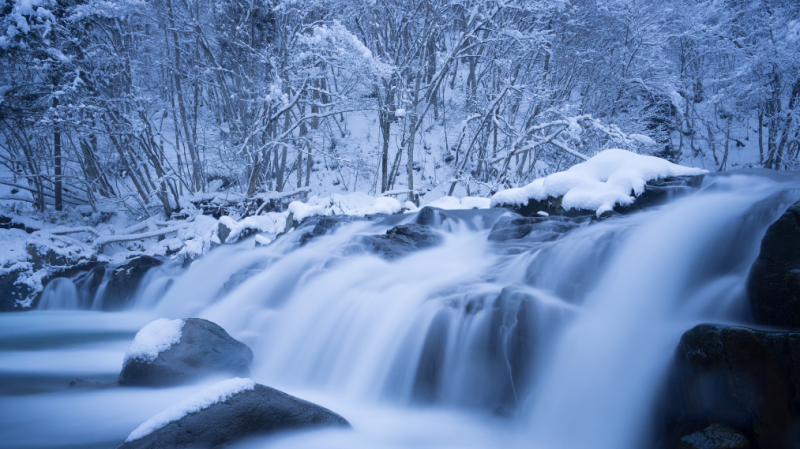 雪景诗句唯美简短（关于雪的优美诗句）