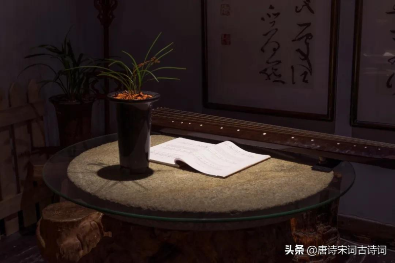 赞美兰花的经典诗句（形容兰花气质清雅诗句）